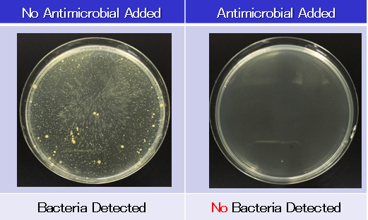 Anti-Microbial Test
